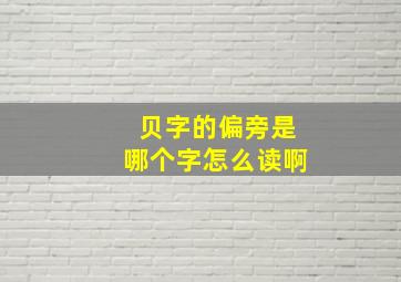 贝字的偏旁是哪个字怎么读啊