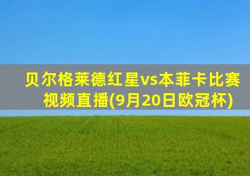 贝尔格莱德红星vs本菲卡比赛视频直播(9月20日欧冠杯)