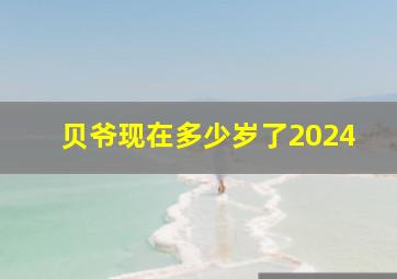 贝爷现在多少岁了2024