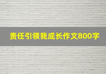 责任引领我成长作文800字