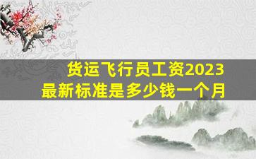 货运飞行员工资2023最新标准是多少钱一个月