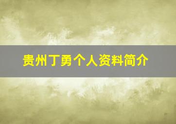 贵州丁勇个人资料简介