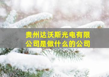 贵州达沃斯光电有限公司是做什么的公司