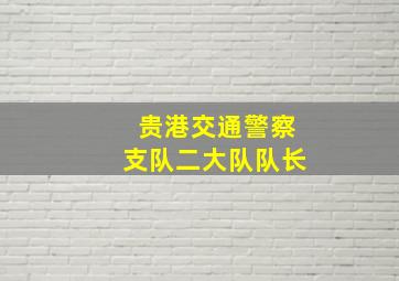 贵港交通警察支队二大队队长