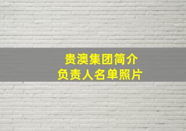 贵澳集团简介负责人名单照片