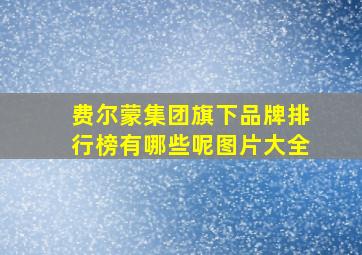 费尔蒙集团旗下品牌排行榜有哪些呢图片大全