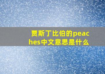 贾斯丁比伯的peaches中文意思是什么