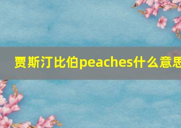 贾斯汀比伯peaches什么意思