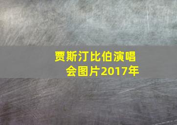 贾斯汀比伯演唱会图片2017年