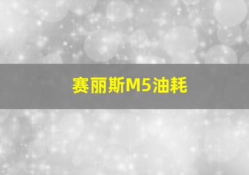 赛丽斯M5油耗