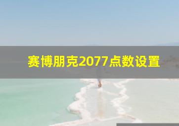 赛博朋克2077点数设置