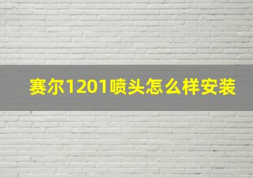 赛尔1201喷头怎么样安装