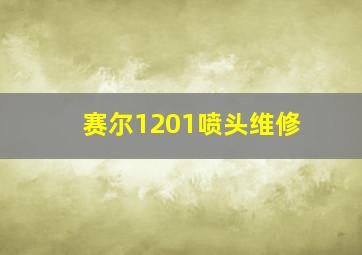 赛尔1201喷头维修