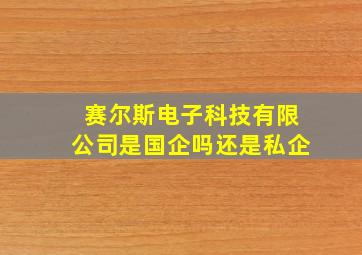 赛尔斯电子科技有限公司是国企吗还是私企