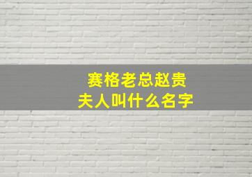 赛格老总赵贵夫人叫什么名字