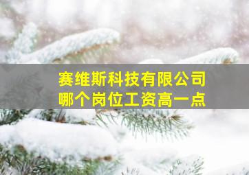 赛维斯科技有限公司哪个岗位工资高一点