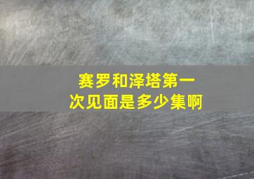 赛罗和泽塔第一次见面是多少集啊