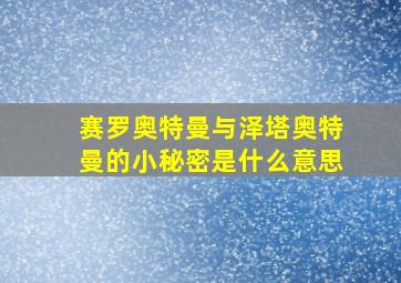 赛罗奥特曼与泽塔奥特曼的小秘密是什么意思