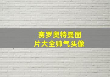 赛罗奥特曼图片大全帅气头像