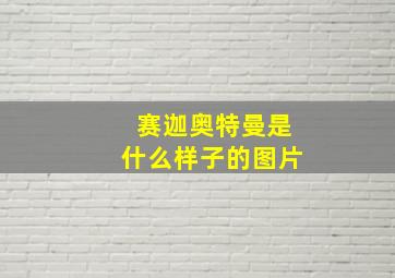 赛迦奥特曼是什么样子的图片