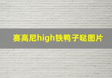 赛高尼high铁鸭子哒图片