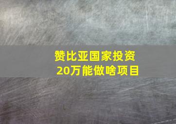 赞比亚国家投资20万能做啥项目