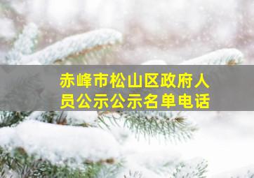 赤峰市松山区政府人员公示公示名单电话