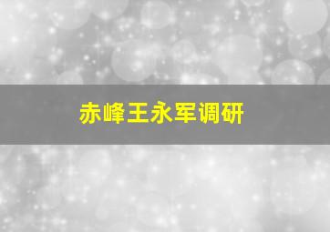 赤峰王永军调研