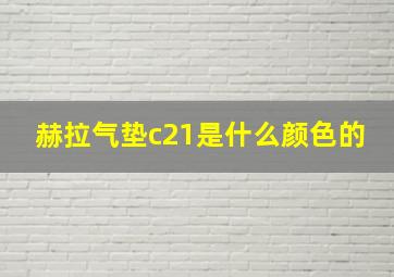 赫拉气垫c21是什么颜色的