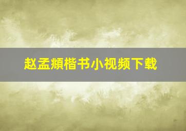 赵孟頫楷书小视频下载