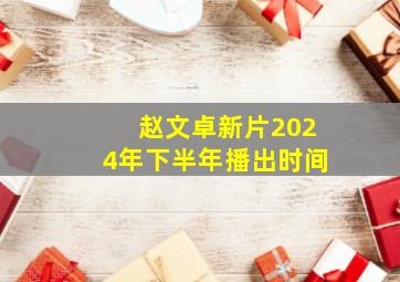 赵文卓新片2024年下半年播出时间