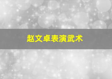 赵文卓表演武术