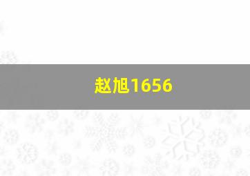 赵旭1656