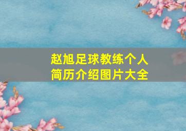 赵旭足球教练个人简历介绍图片大全