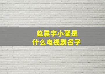 赵晨宇小馨是什么电视剧名字