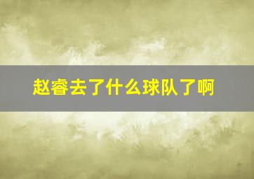 赵睿去了什么球队了啊