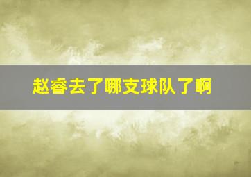 赵睿去了哪支球队了啊