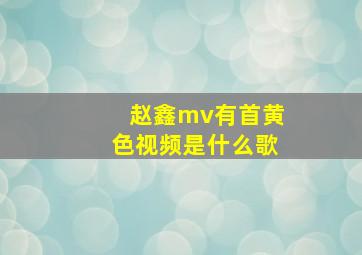 赵鑫mv有首黄色视频是什么歌