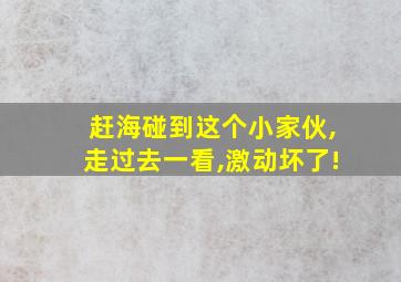 赶海碰到这个小家伙,走过去一看,激动坏了!