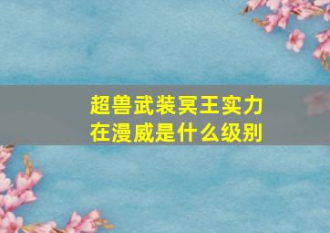 超兽武装冥王实力在漫威是什么级别