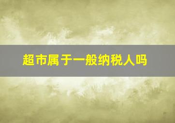 超市属于一般纳税人吗