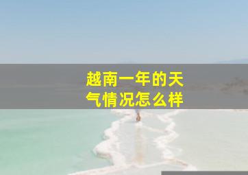 越南一年的天气情况怎么样