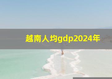 越南人均gdp2024年