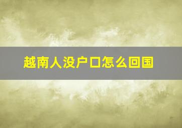 越南人没户口怎么回国