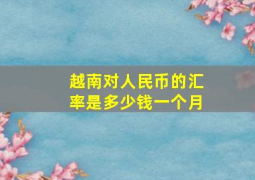 越南对人民币的汇率是多少钱一个月