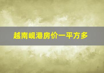 越南岘港房价一平方多