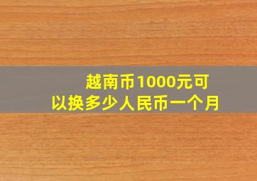 越南币1000元可以换多少人民币一个月