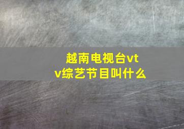 越南电视台vtv综艺节目叫什么