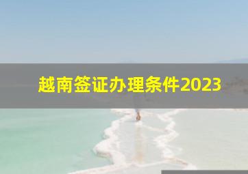 越南签证办理条件2023