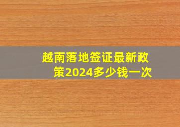 越南落地签证最新政策2024多少钱一次